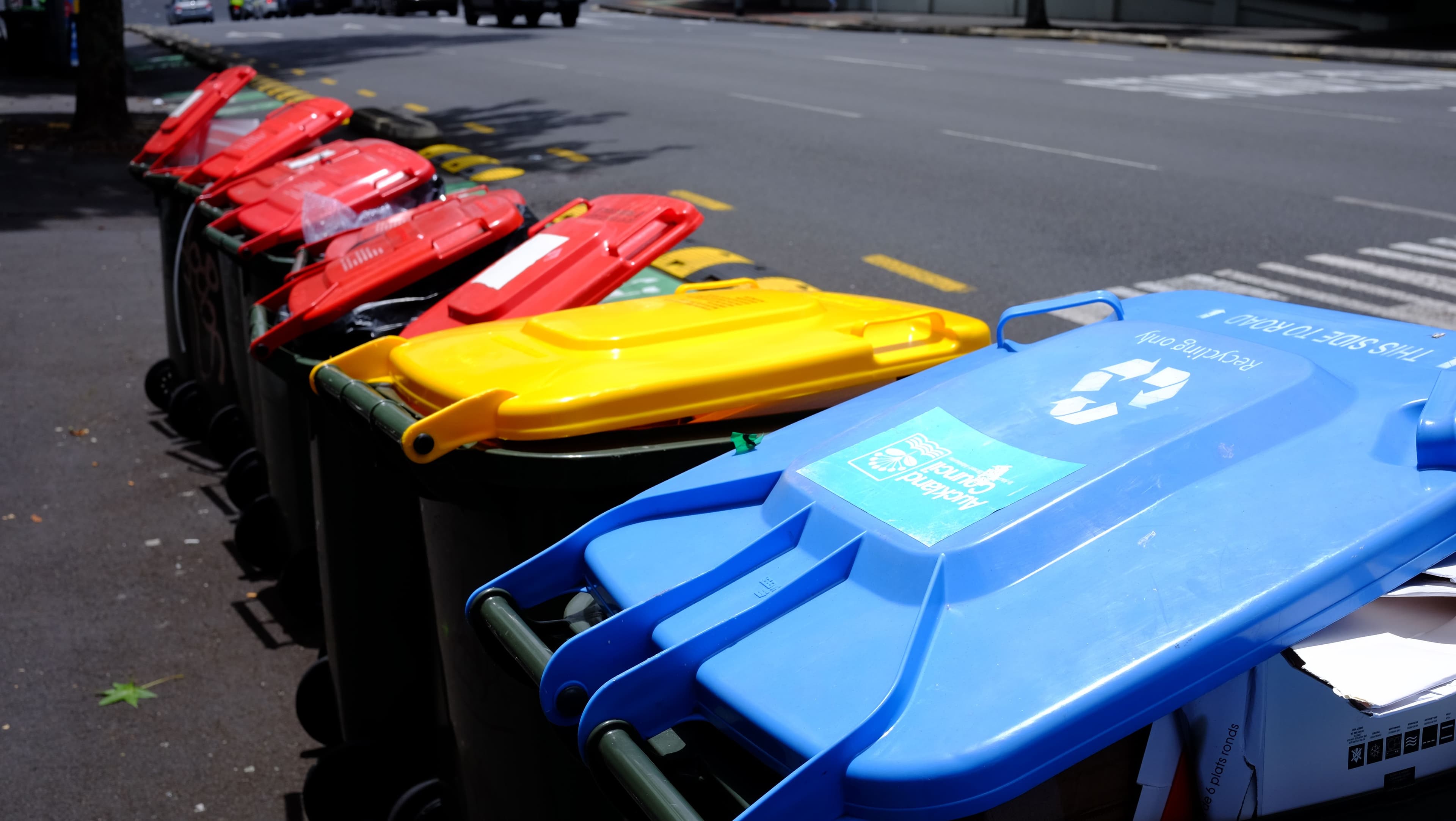 Wheely Bin Cleaning